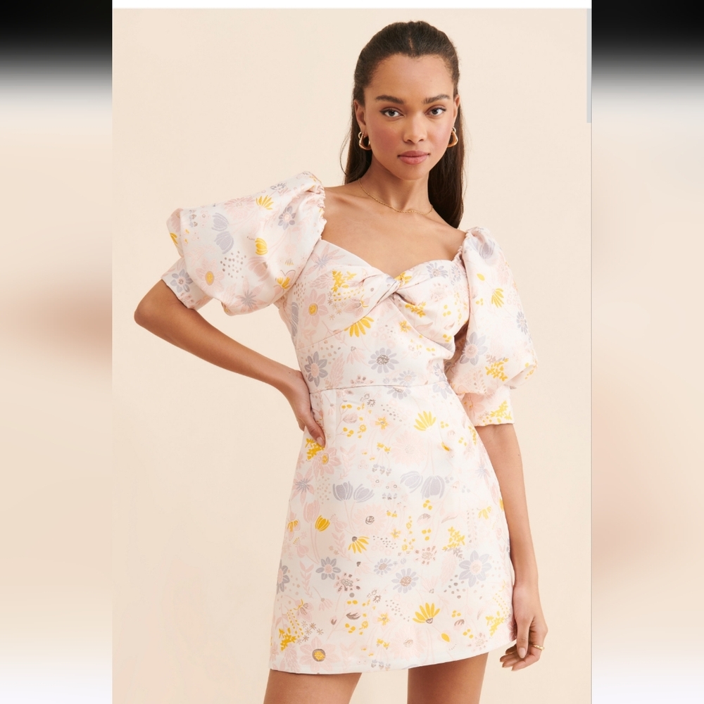 Slate & Willow Floral Jacqard Dress